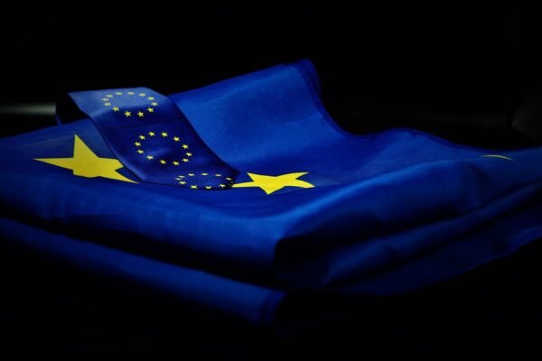 explore the types of EU grants available, the eligibility requirements, the challenges involved, and strategies to improve your chances of success.