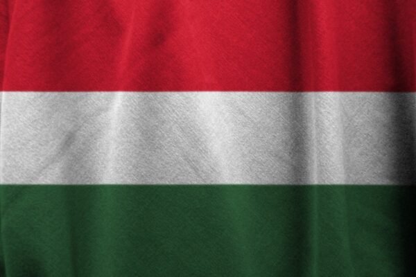 The Richest Hungarians in 2025: Who They Are and How They Built Their Fortunes the richest Hungarians in 2025, based on the most recent list by Forbes Hungary, which ranks individuals by estimated net worth, sector dominance, and influence.