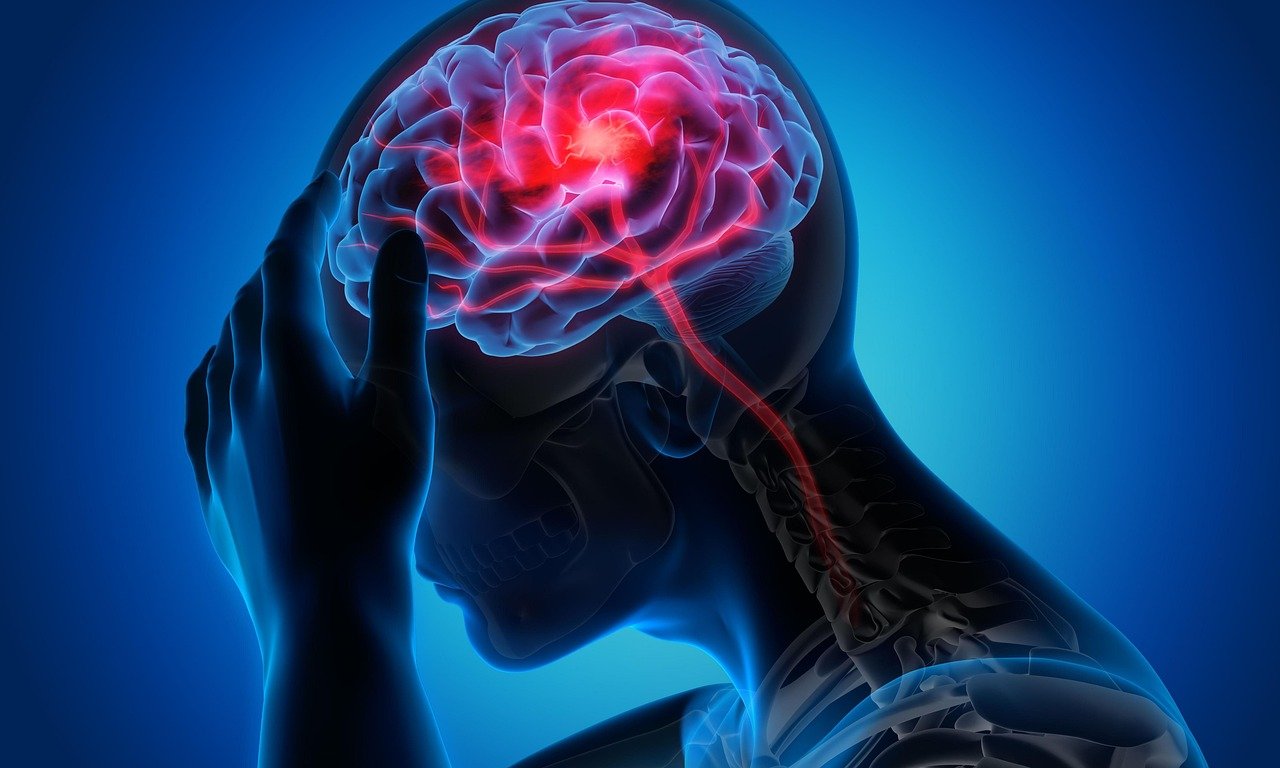 Entrepreneurs, business leaders, and ambitious professionals often sacrifice sleep, skip meals, or push aside medical checkups to meet deadlines and maximize productivity. However, this is not only unsustainable — it's counterproductive.