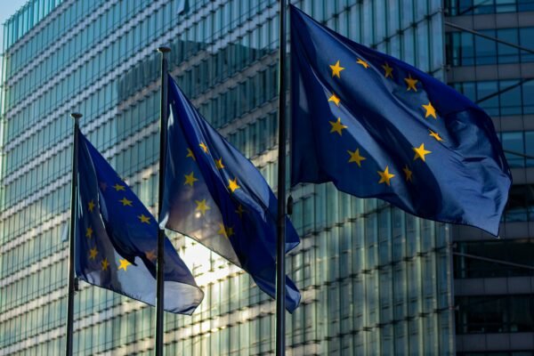 Thriving in the European Union: Why the Next Decade Looks Bright for EU-Based Businesses. Despite global economic headwinds, the EU remains one of the world’s most stable and prosperous economic areas. With 27 member states, over 440 million consumers, and a single currency used by most, the EU provides a predictable environment where businesses can plan, invest, and grow with confidence.