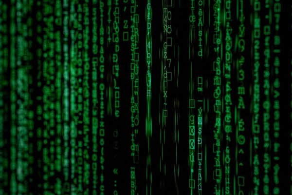 Consumers, clients, and partners now begin — and often complete — their entire decision-making process online. If your business can’t be found, compared, and trusted on the web, it might as well not exist at all.
